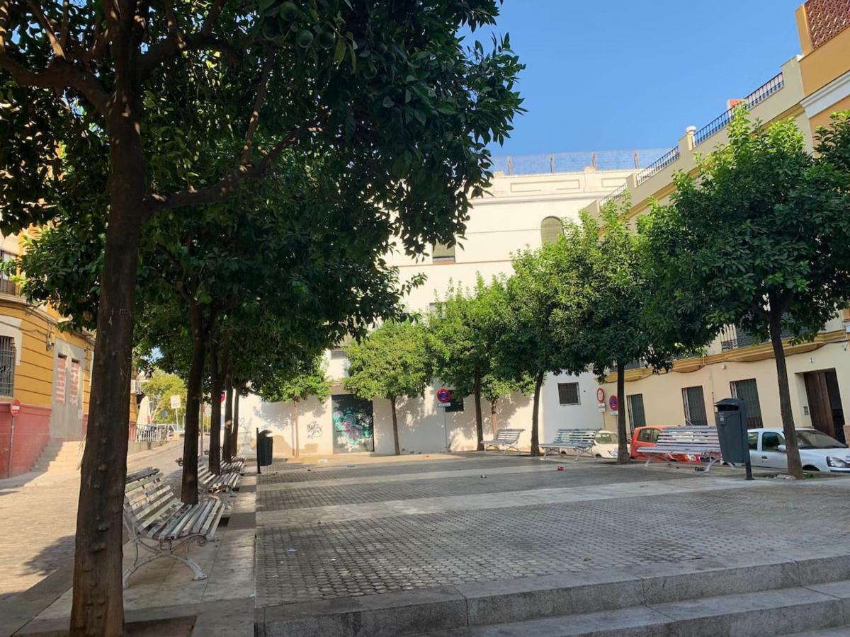 Luz Y Tranquilidad En El Casco Historico - Parking Gratis Apartament *